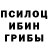 Галлюциногенные грибы Cubensis ariell Alrierla