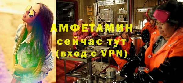 индика Апатиты
